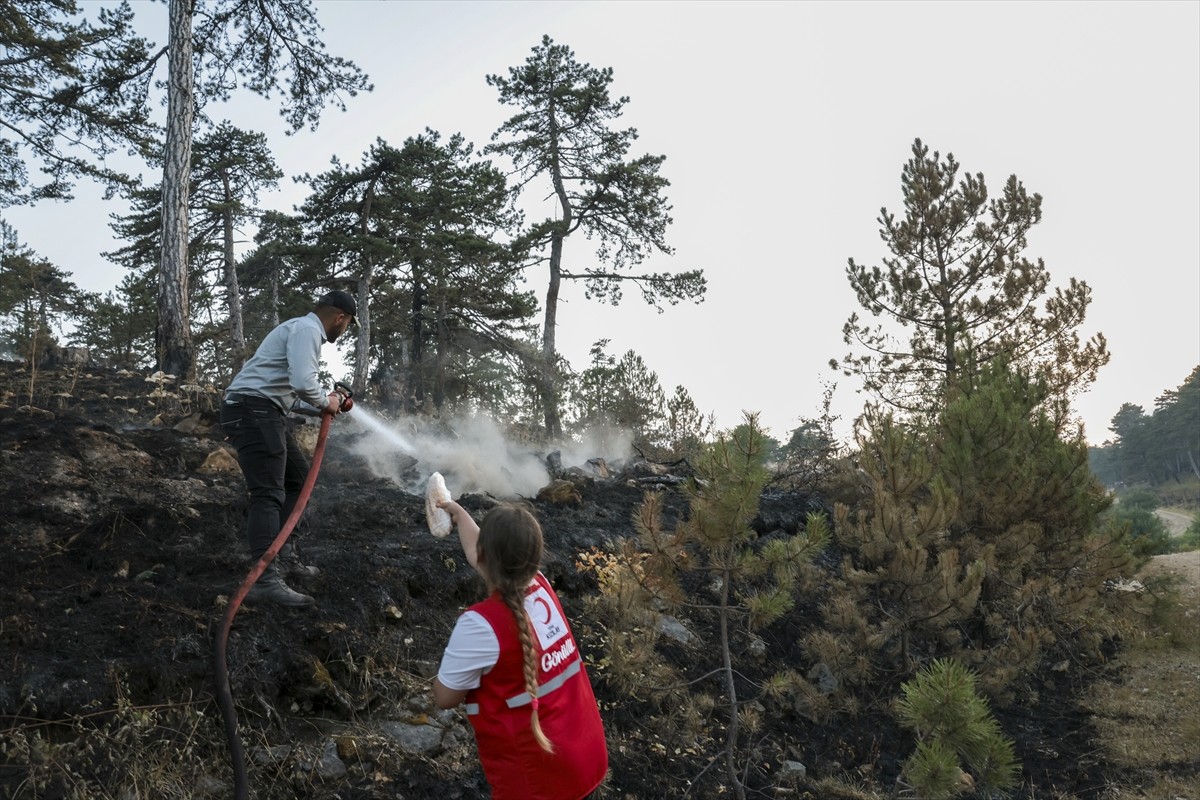 Türk Kızılay, orman yangınlarının devam ettiği illerde müdahale çalışmalarına desteğini...