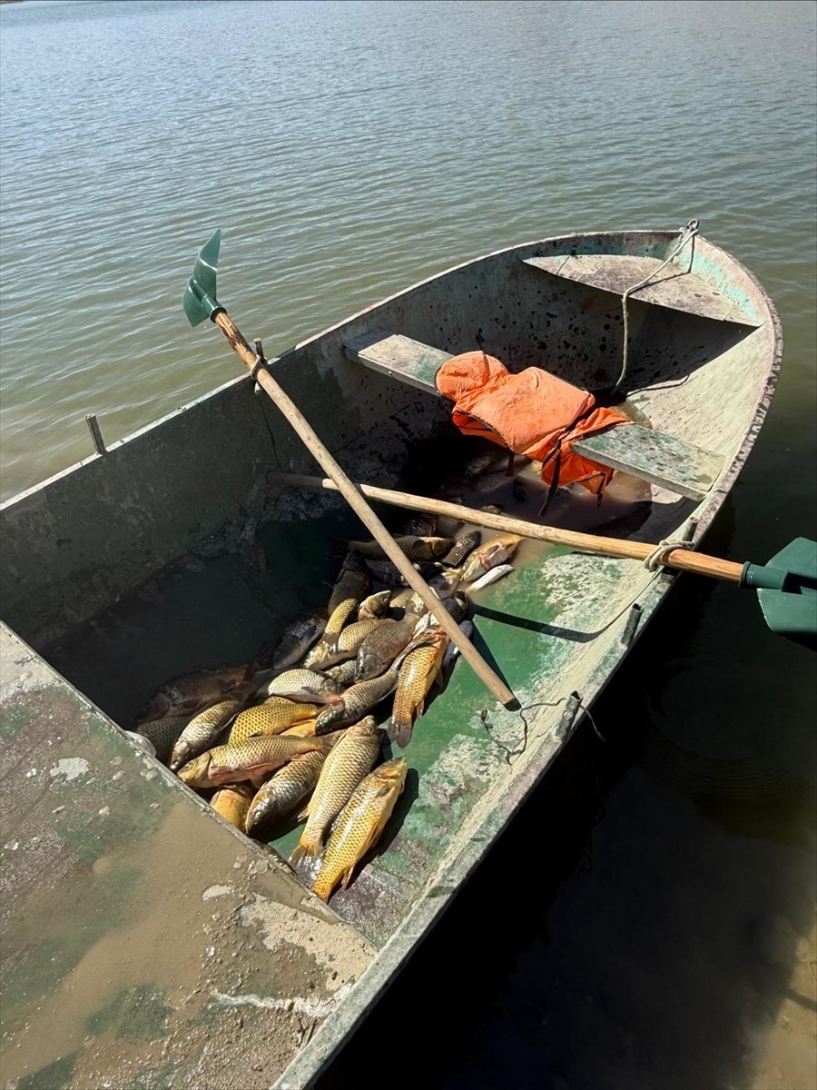 Van'ın Muradiye ilçesinde kaçak balık avı yaptığı tespit edilen 2 kişiye 25 bin 670 lira para...