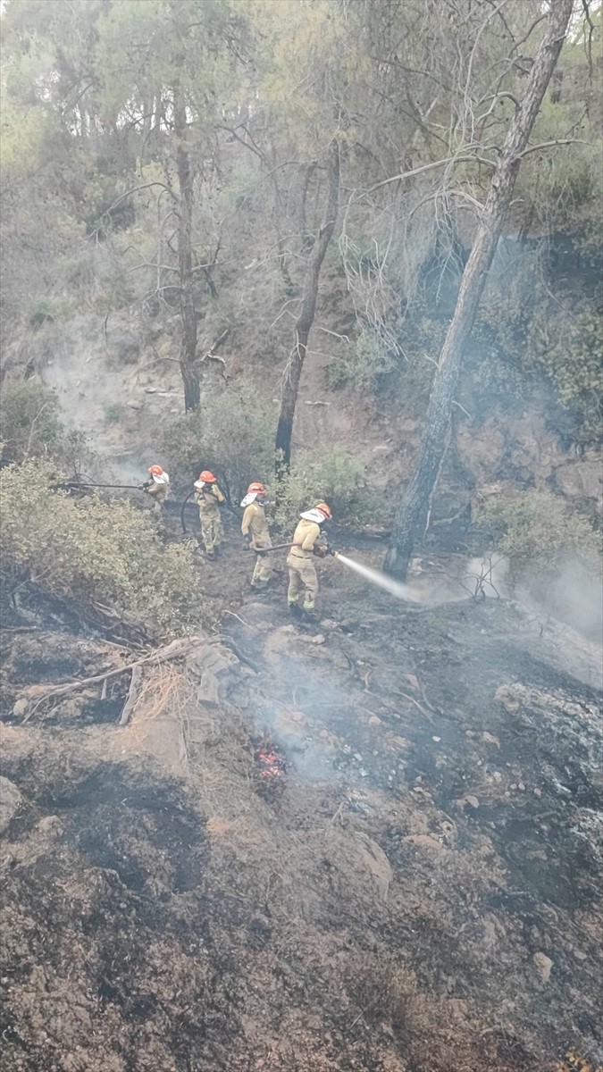 Adana'nın Sarıçam ilçesinde çıkan orman yangını, ekiplerin havadan ve karadan müdahalesiyle...