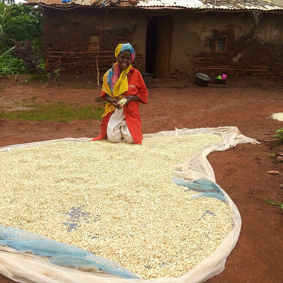 Afrika'da yardım faaliyetleri yürüten Tüm Afrika'nın Dostları Derneği (TADD), Mali'de...
