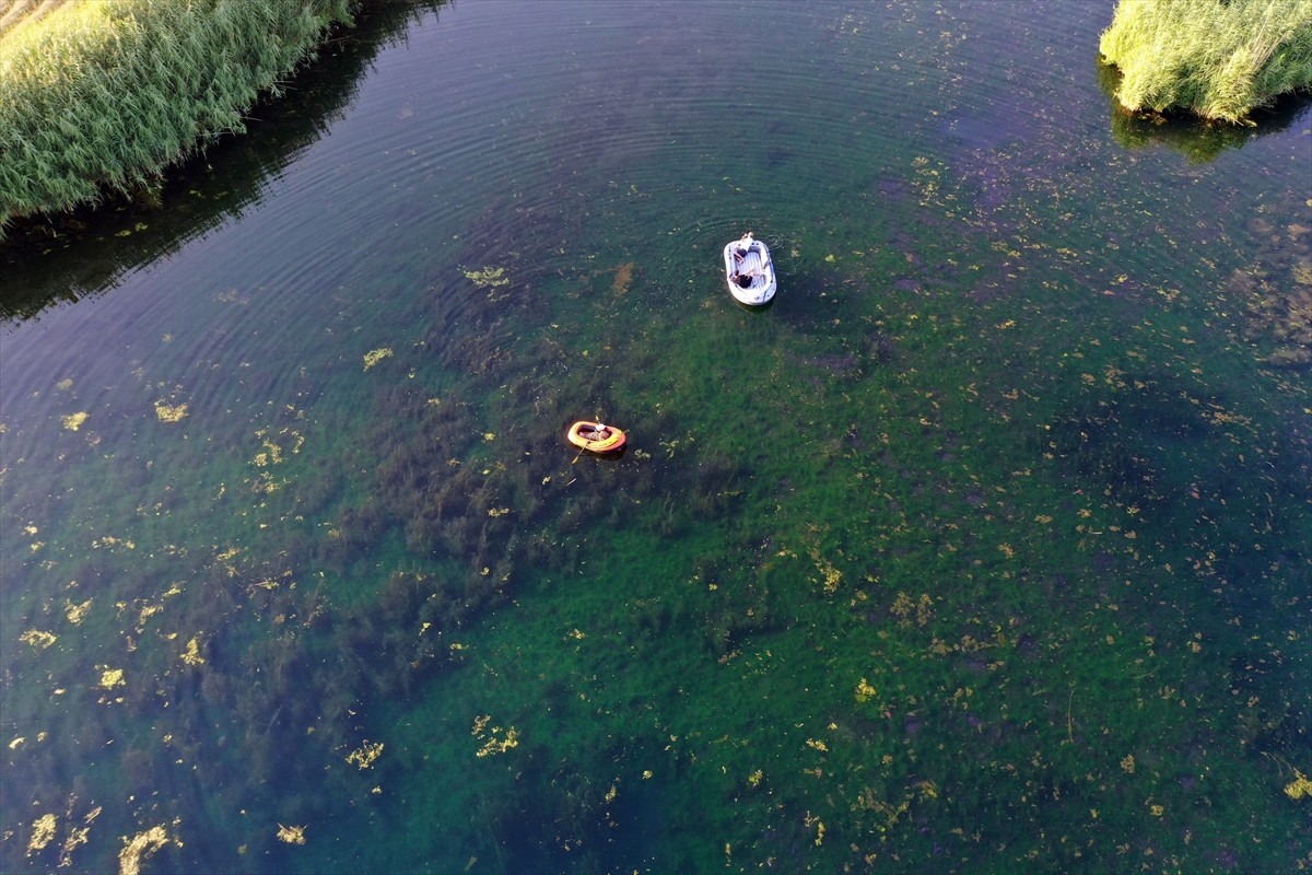 Ağrı Dağı eteklerinde bulunan ve 200'ün üzerinde kuş türüne ev sahipliği yapan Karasu Sulak Alanı...