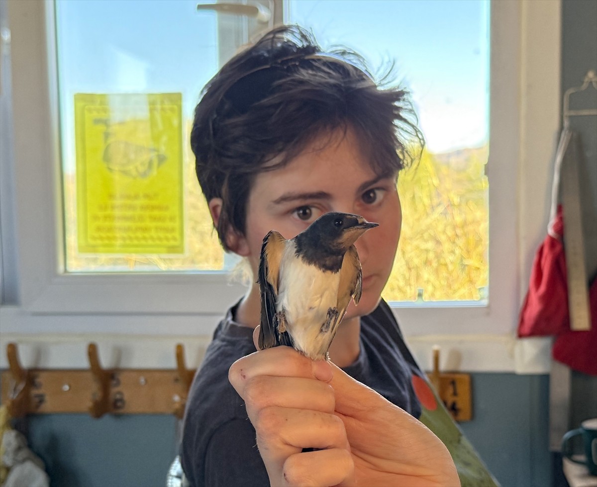 Almanya'dan gelerek Iğdır'daki kuş araştırma çalışmalarına katılan kuş bilimci Yohanna Klein...