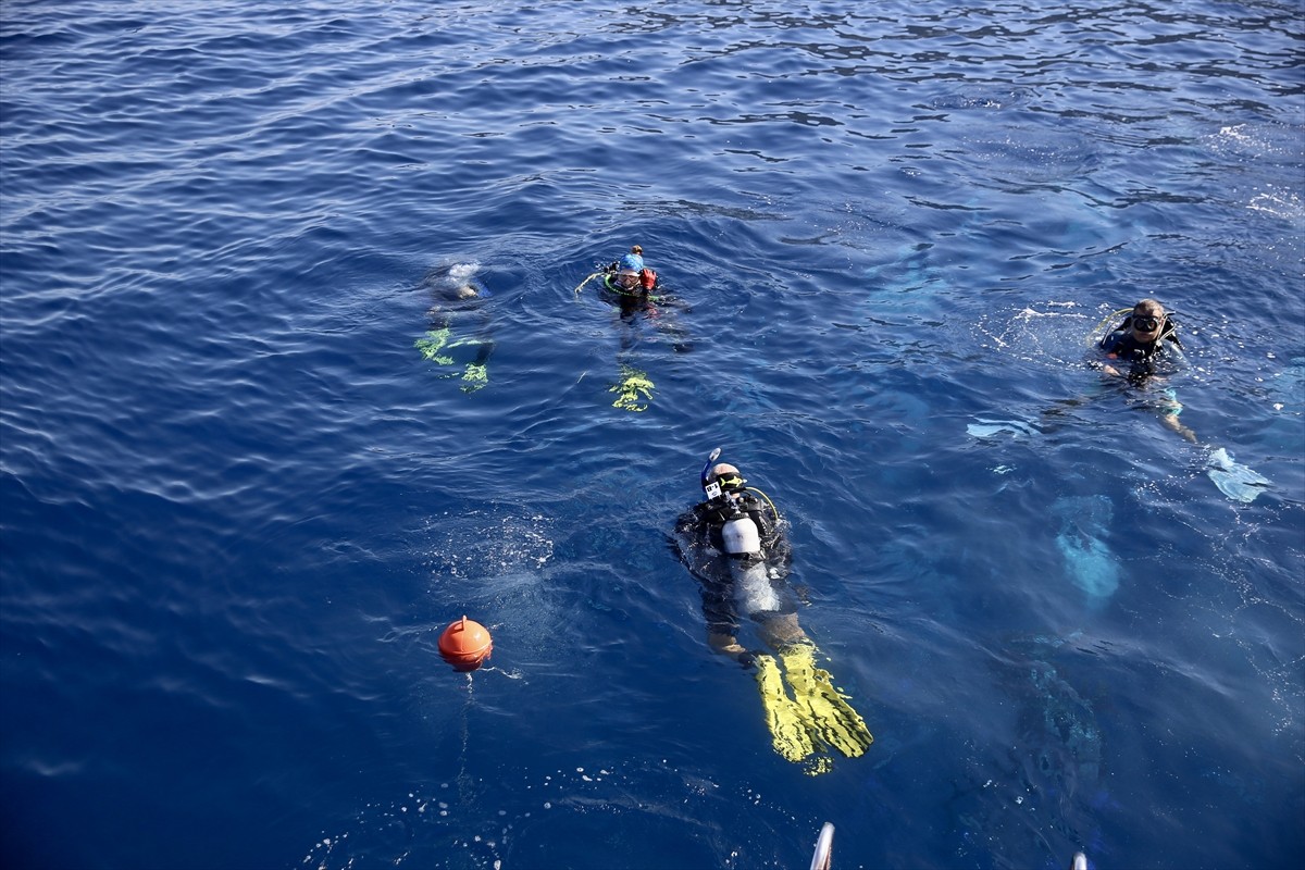 Altın Palet Sualtı Görüntüleme Türkiye Şampiyonası, Muğla'nın Fethiye ilçesinde düzenleniyor....