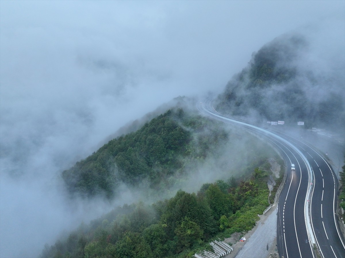 Ankara ve İstanbul arasındaki ulaşımı sağlayan önemli güzergahlardan D-100 kara yolunun Bolu Dağı...