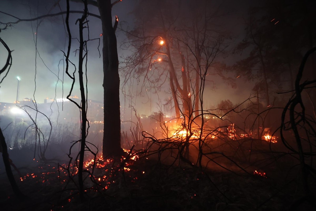  Antalya'nın Aksu ilçesinde ormanlık alanda çıkan yangına müdahale ediliyor.