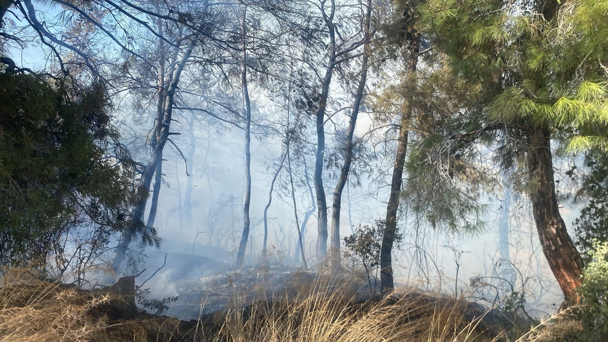Antalya'nın Manavgat ilçesinde tarım arazisinde başlayıp ormanlık alana sıçrayan yangına müdahale...