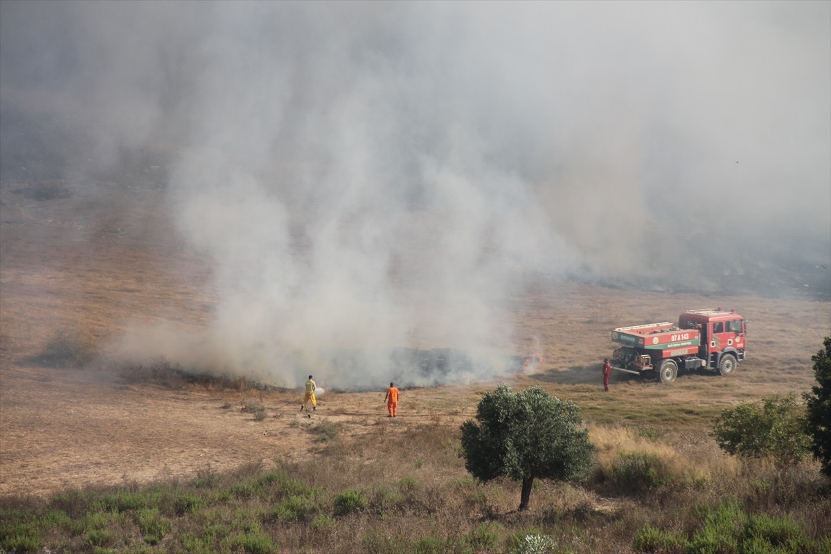Antalya'nın Serik ilçesinde anız yakılmasıyla başlayan ve zeytin ağaçlarının bulunduğu bahçeye...