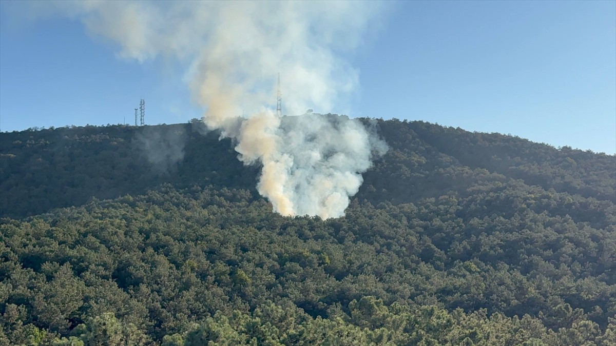Ataşehir'de ormanlık alanda çıkan yangın itfaiye ekiplerinin müdahalesiyle söndürüldü.