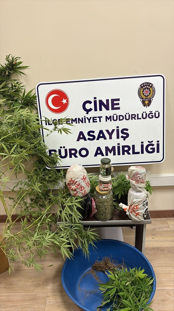 Aydın'ın Çine ilçesinde, evinde ve otomobilinde uyuşturucu bulunan şüpheli tutuklandı.