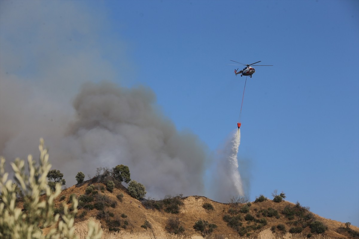 Aydın'ın Efeler ilçesinde zeytinlik ve ormanlık alanda çıkan yangına havadan ve karadan müdahale...