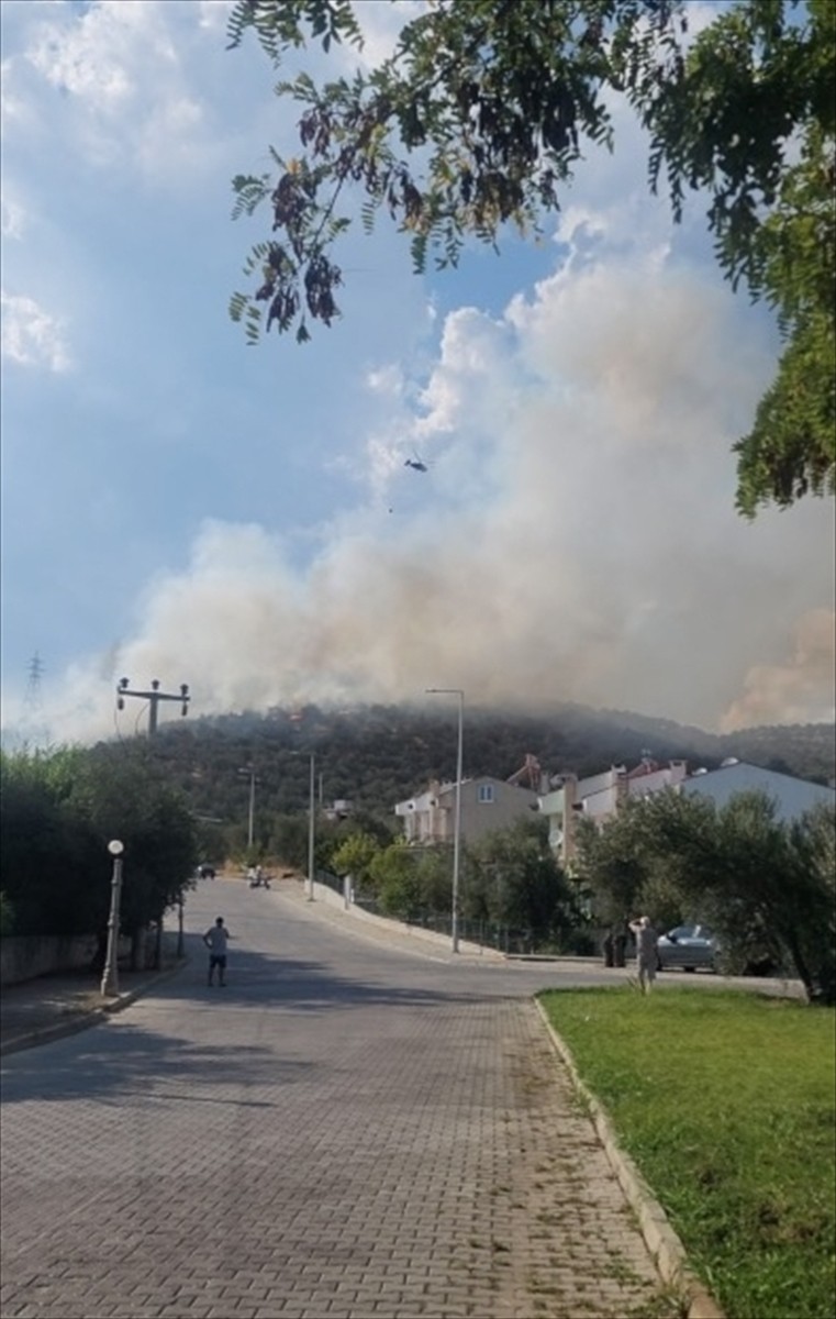Balıkesir'in Edremit ilçesinde makilik alanda çıkan yangın havadan ve karadan müdahaleyle kontrol...