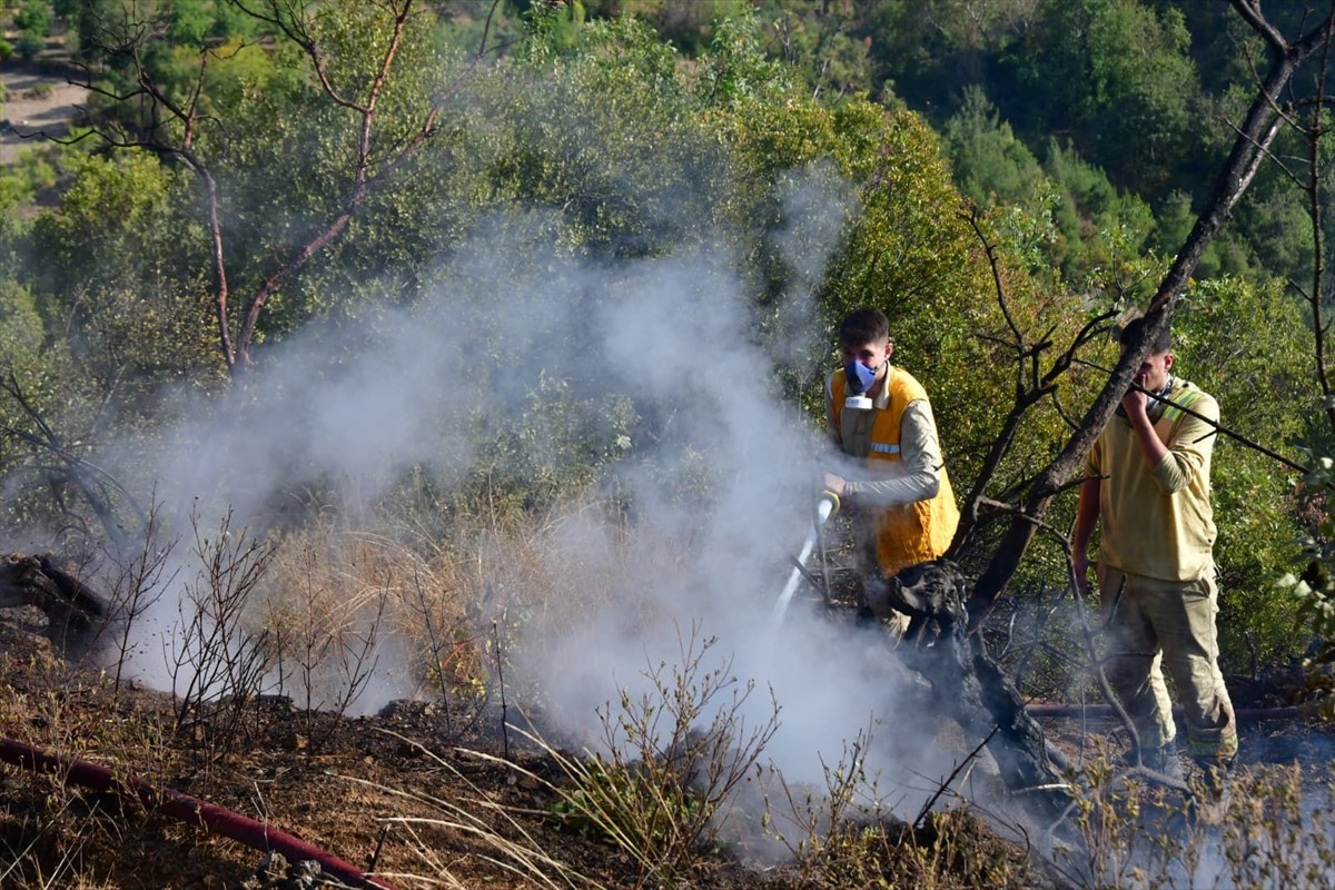 Balıkesir'in Kepsut ilçesinde kaza yapan araçta çıkan ve ormanlık alana sıçrayan yangın, havadan...
