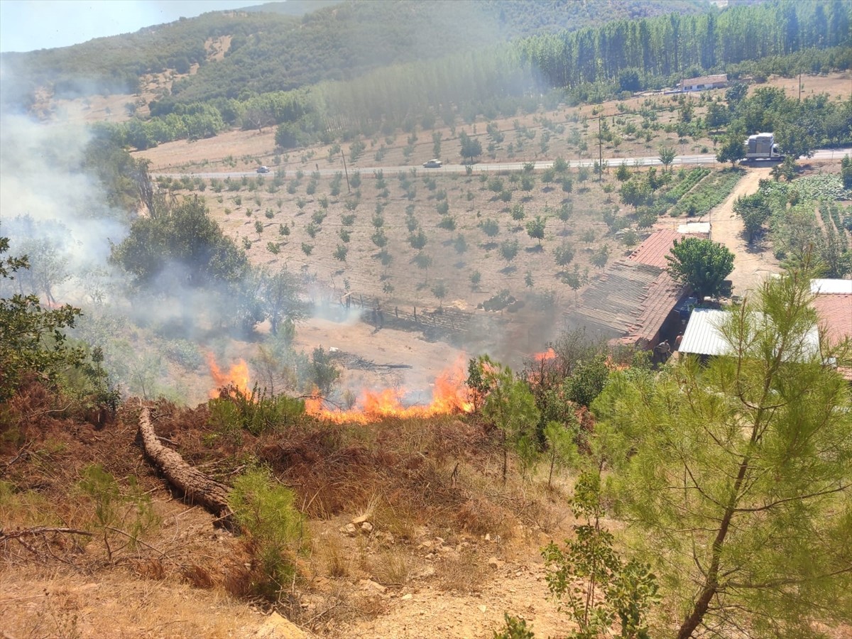 Balıkesir'in Sındırgı ilçesindeki ormanlık alanda çıkan yangın, kontrol altına alınmaya...