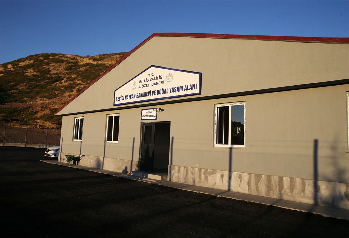 Bitlis'te 59 dönüm alanda sahipsiz sokak hayvanları için Geçici Bakımevi ve Doğal Yaşam Alanı...