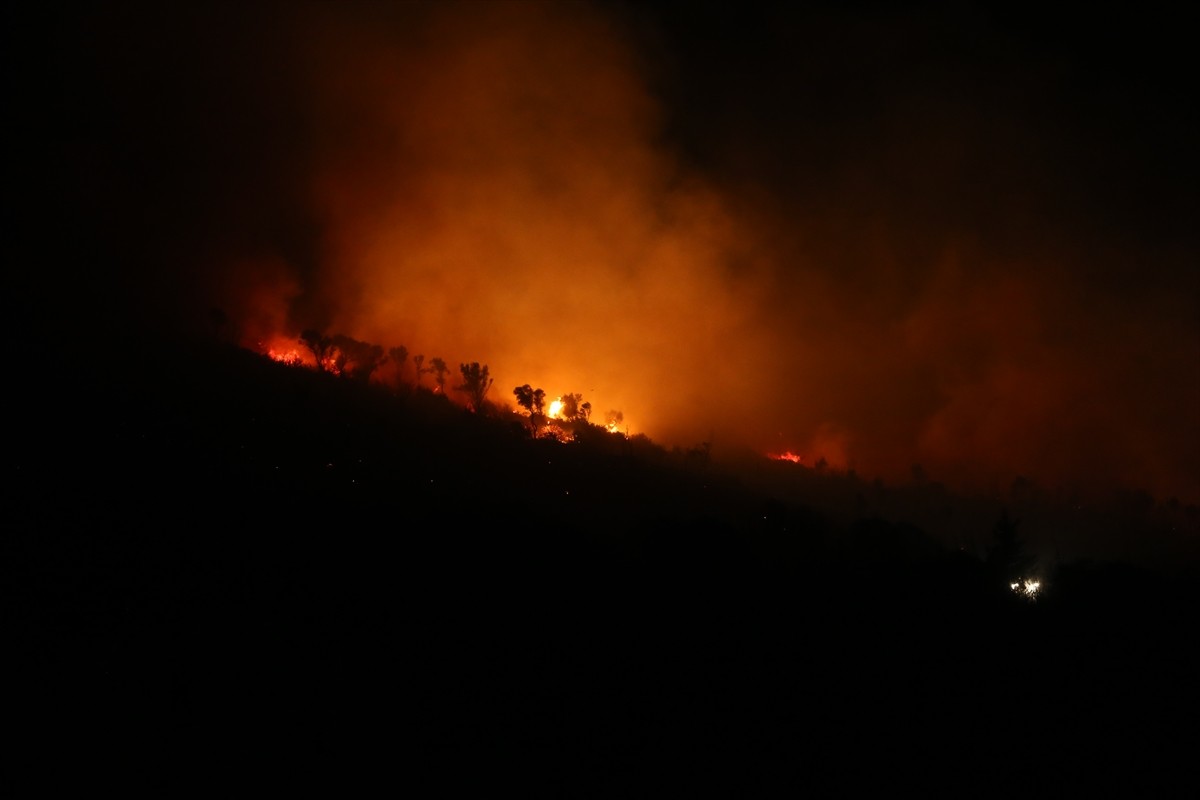Bursa'nın Karacabey ilçesinde ormanlık alanda çıkan yangına müdahale ediliyor.