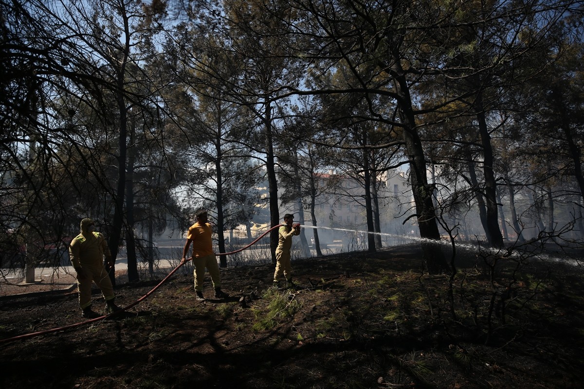 Çanakkale'de ormanlık alanda çıkan yangın kontrol altına alındı. Toplumsal olaylara müdahale aracı...
