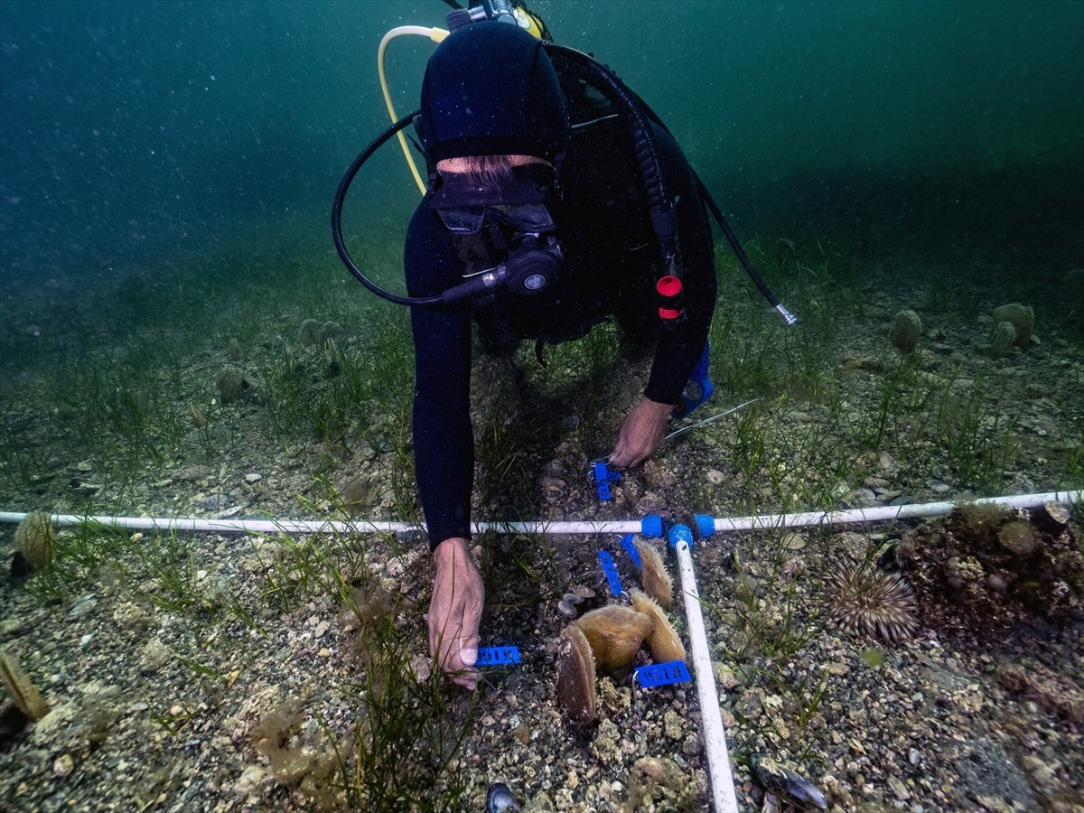 Çevre, Şehircilik ve İklim Değişikliği Bakanlığı, Tabiat Varlıklarını Koruma Genel Müdürlüğü ve...