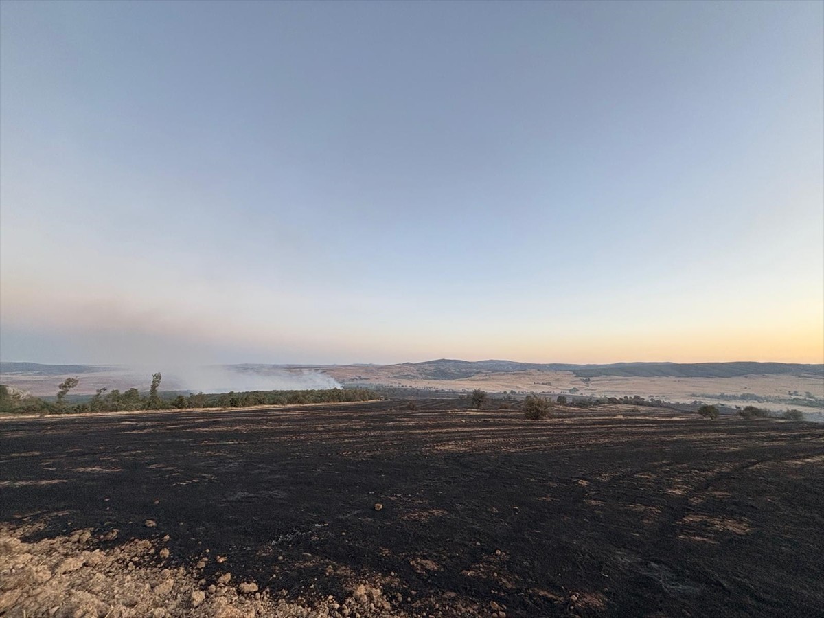 Çorum'un Alaca ilçesinde otluk arazide çıkan ve ormanlık alana sıçrayan yangına müdahale...