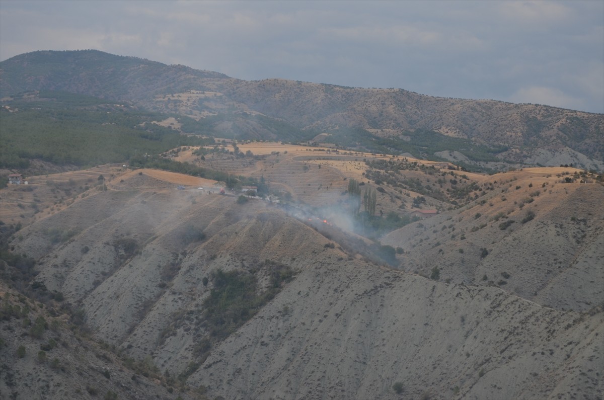 Çorum'un Dodurga ilçesinde çıkan yangında yaklaşık 10 dekar ağaçlık alan zarar gördü.