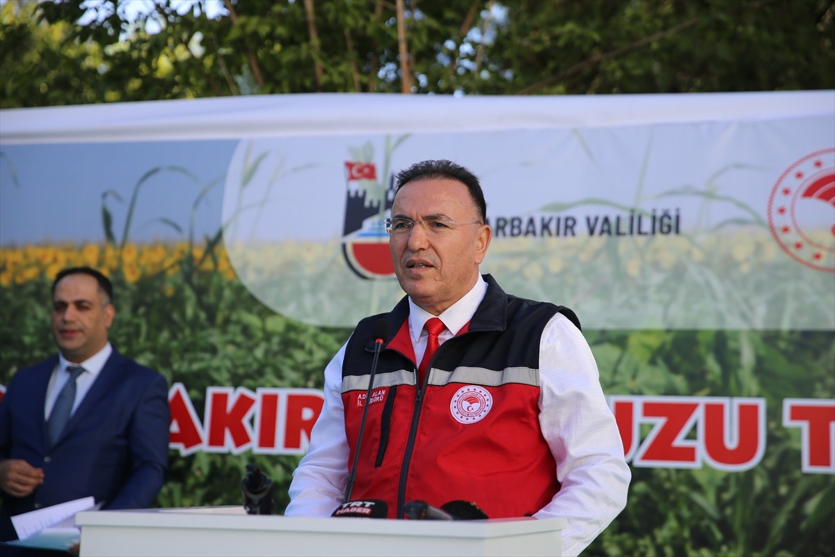 Diyarbakır'da "15. Diyarbakır Karpuzu Tanıtım Etkinlikleri" yapıldı. Kentin tescilli lezzeti...