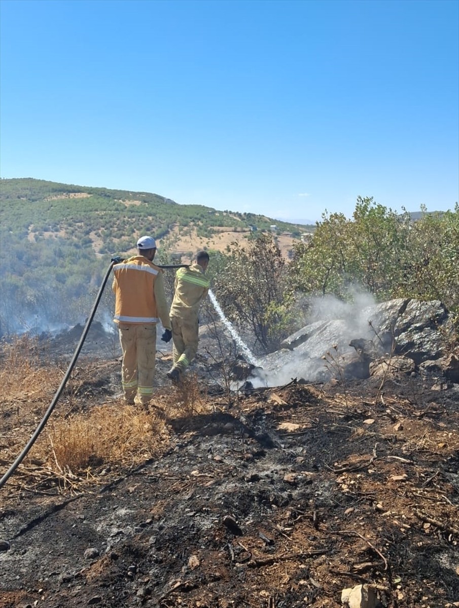 Diyarbakır'ın Lice ve Dicle ilçelerinin kırsalındaki 3 farklı noktada çıkan örtü yangınları...