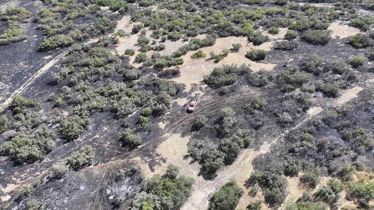 Diyarbakır'ın Silvan ilçesinde çıkan örtü yangını ekiplerin karadan ve havadan müdahalesiyle...
