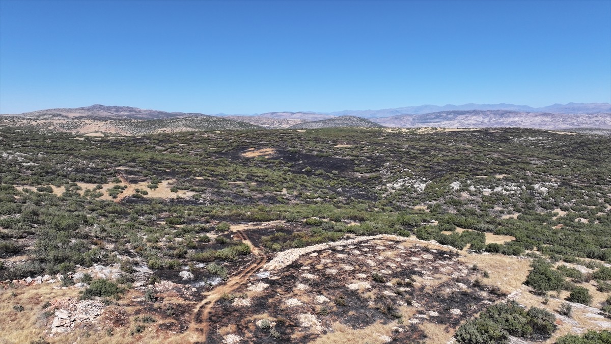 Diyarbakır'ın Silvan ilçesinde çıkan örtü yangını ekiplerin karadan ve havadan müdahalesiyle...