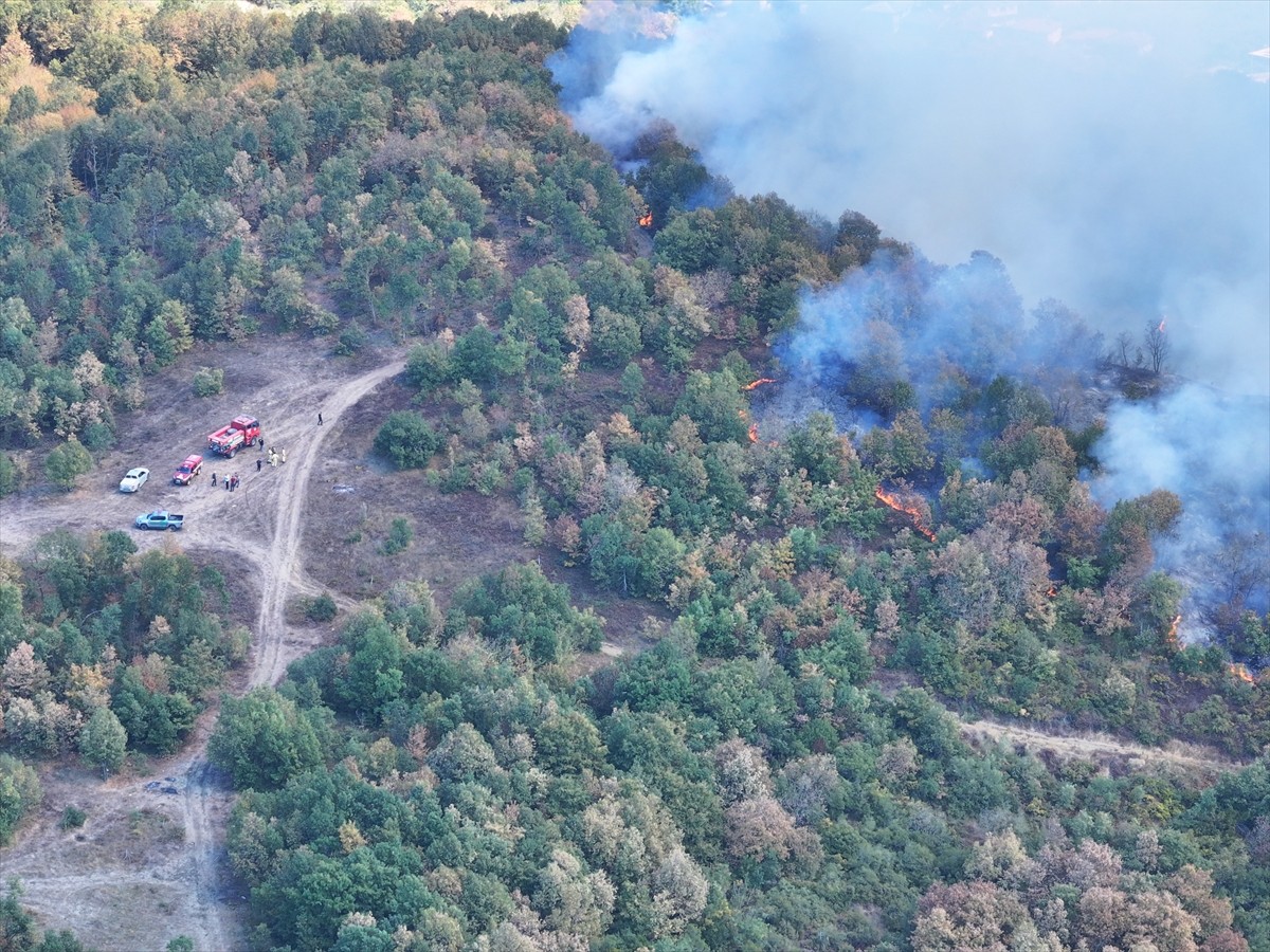 Düzce'nin Yığılca ilçesinde çıkan orman yangını söndürülmeye çalışılıyor. Yangın söndürme...