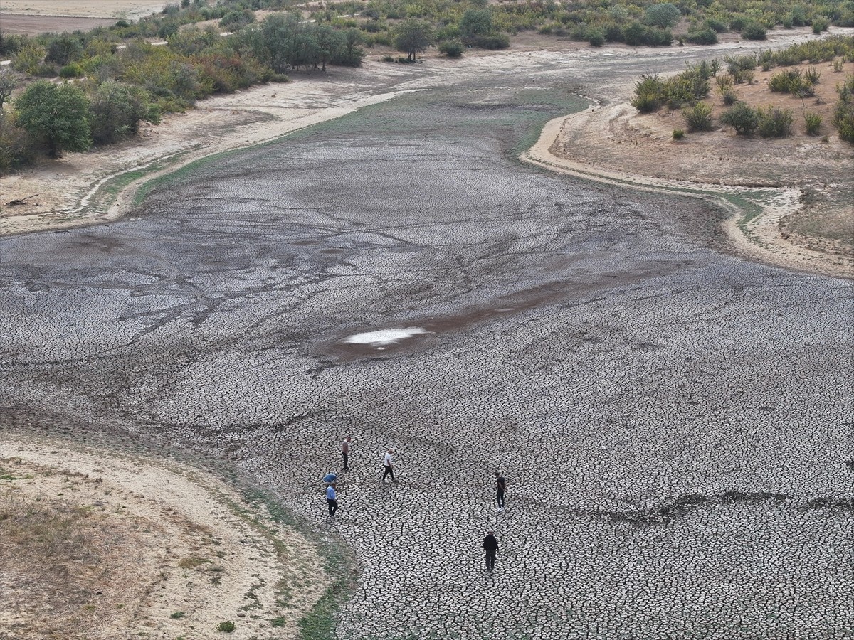 Edirne'nin Havsa ilçesine bağlı Şerbettar köyündeki gölet, kuraklık ve aşırı sıcaklara bağlı...