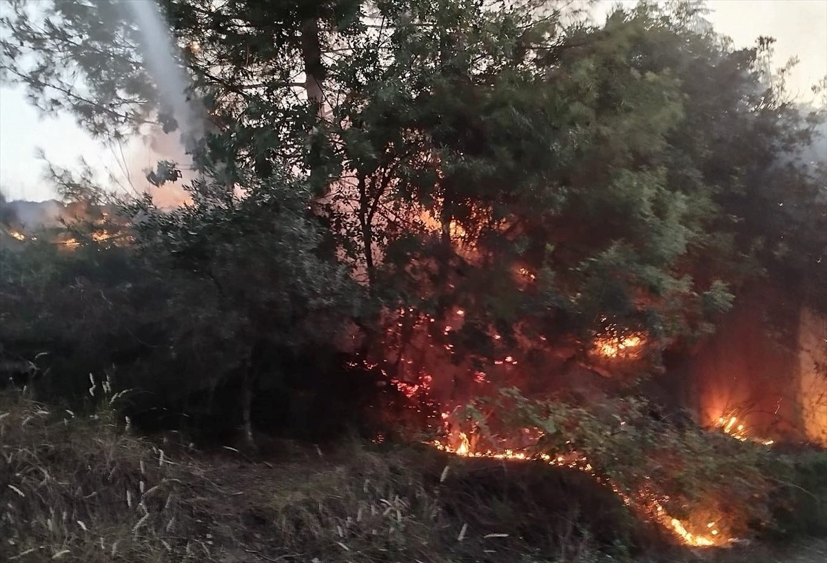 Hatay'ın Dörtyol ilçesinde çıkan orman yangını büyümeden söndürüldü.