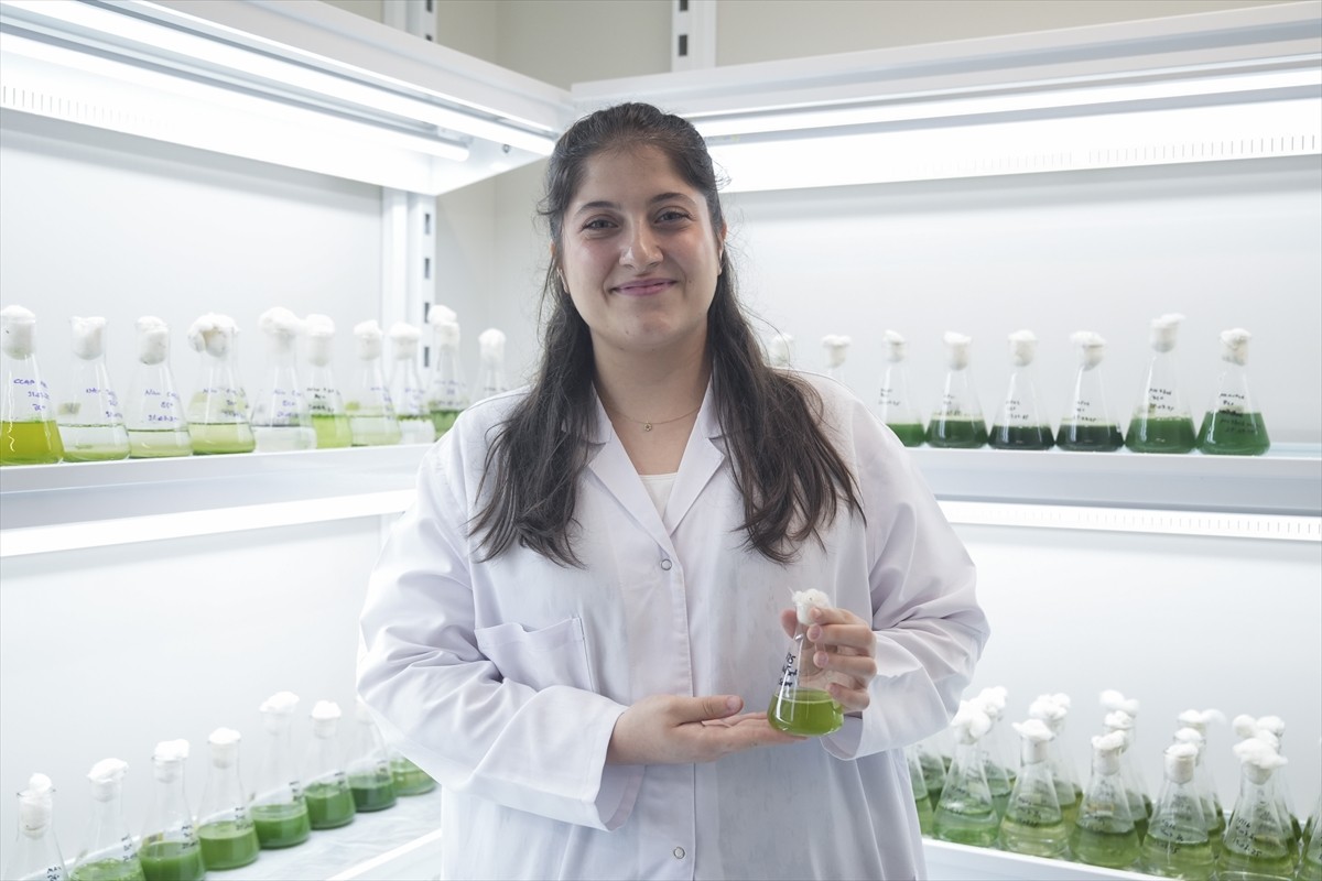 İstanbul Üniversitesi Su Bilimleri Fakültesi İç Su Kaynakları Ana Bilim Dalı yüksek lisans...