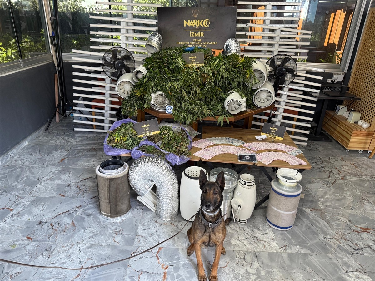 İzmir'in Çeşme, Karaburun, Seferihisar ve Urla ilçelerinde gerçekleştirilen uyuşturucu...