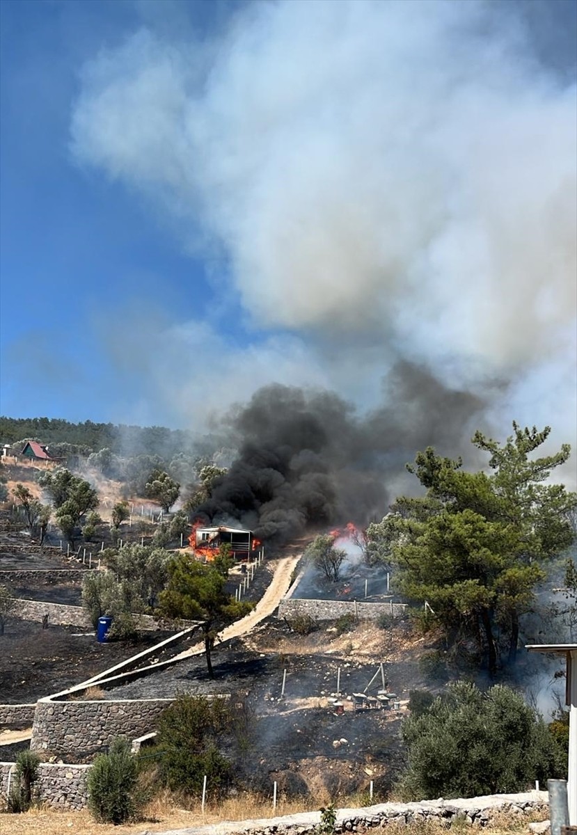 İzmir'in Kemalpaşa ilçesinde tarım arazisinde başlayıp ormanlık alana sıçrayan yangın, havadan ve...