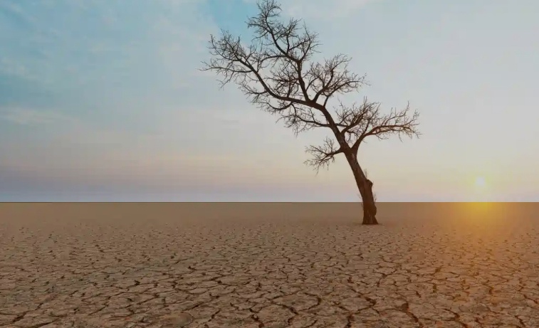 İzmir'de kuraklık alarmı sürüyor: Uzmanlar Kasım için uyarıyor