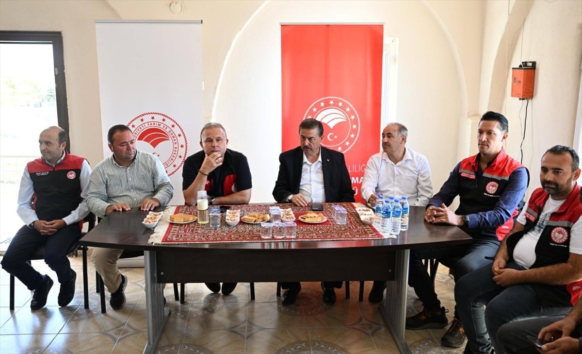 Kayseri'de Sultan Sazlığı Kuş Cenneti'nde yaşanan kuraklığın, bölgedeki arazilerde daha az su...