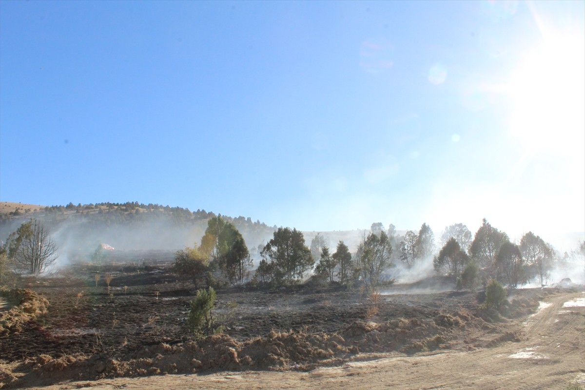 Konya'nın Yunak ilçesinde çıkan orman yangını söndürüldü.