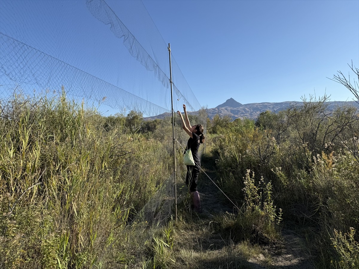 KuzeyDoğa Derneği tarafından, Iğdır'ın Tuzluca ilçesine bağlı Aras Kuş Cenneti'nde sürdürülen kuş...