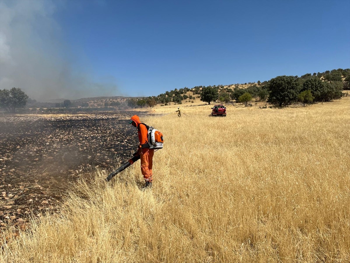  Mardin'in Savur ilçesinde ormanlık alanda çıkan yangın kontrol altına alındı.