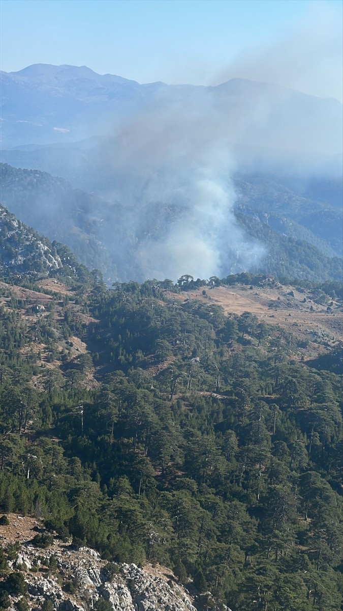 Muğla'nın Köyceğiz ilçesinde çıkan orman yangınına, havadan ve karadan müdahale ediliyor.