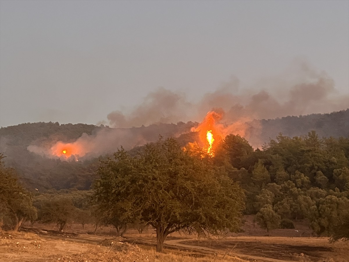 Muğla'nın Milas ilçesinde çıkan orman yangınına müdahale ediliyor. Çok sayıda orman ekibi, dağlık...