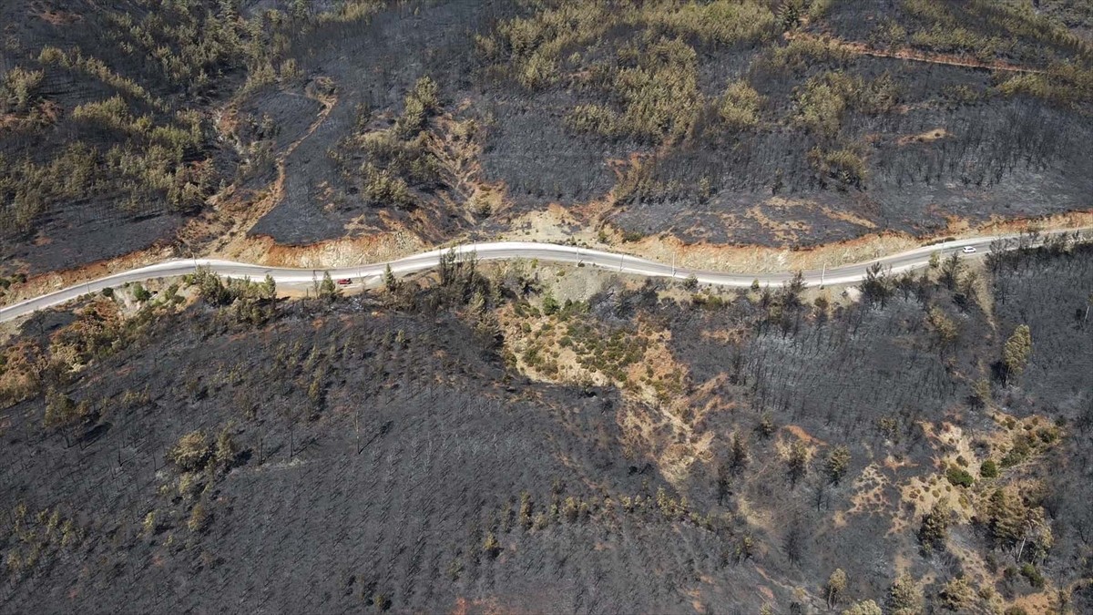 Muğla’nın Köyceğiz ilçesinde orman yangınında zarar gören alanlar havadan görüntülendi.