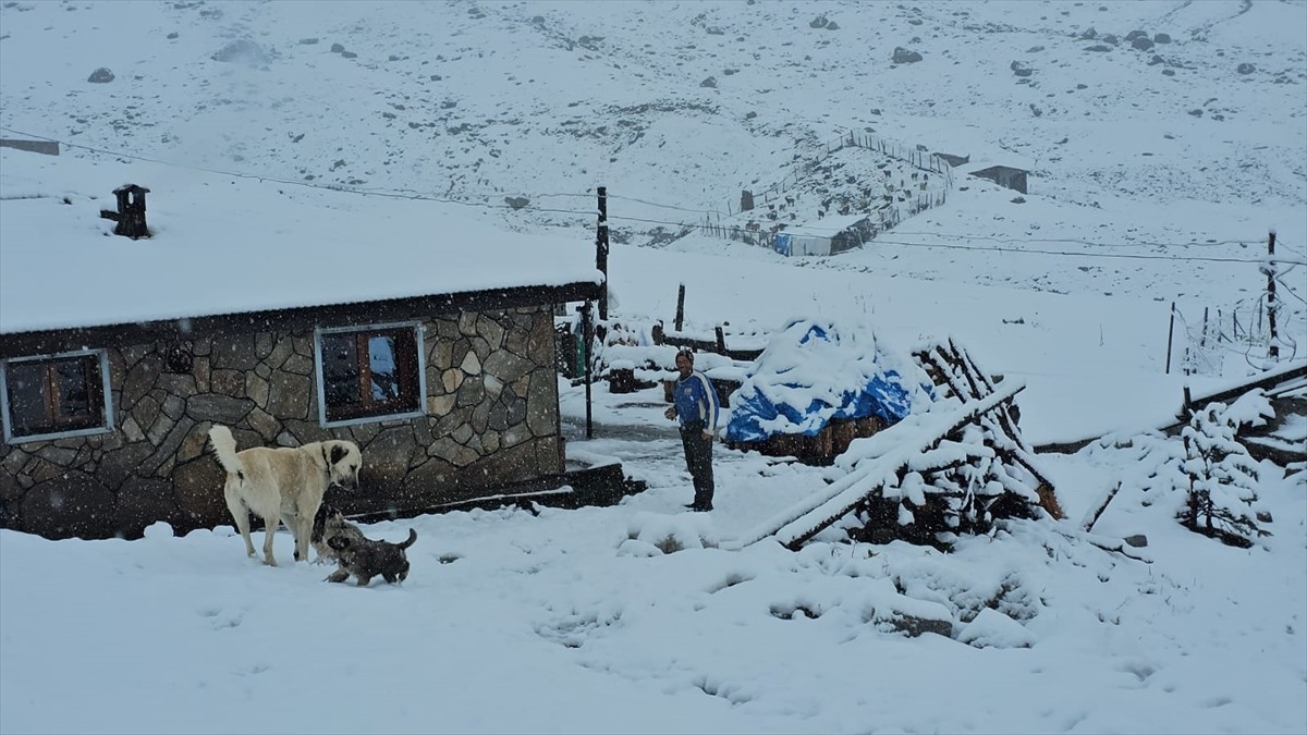 Rize'nin yüksek rakımlı yaylalarında kar etkili oldu. 