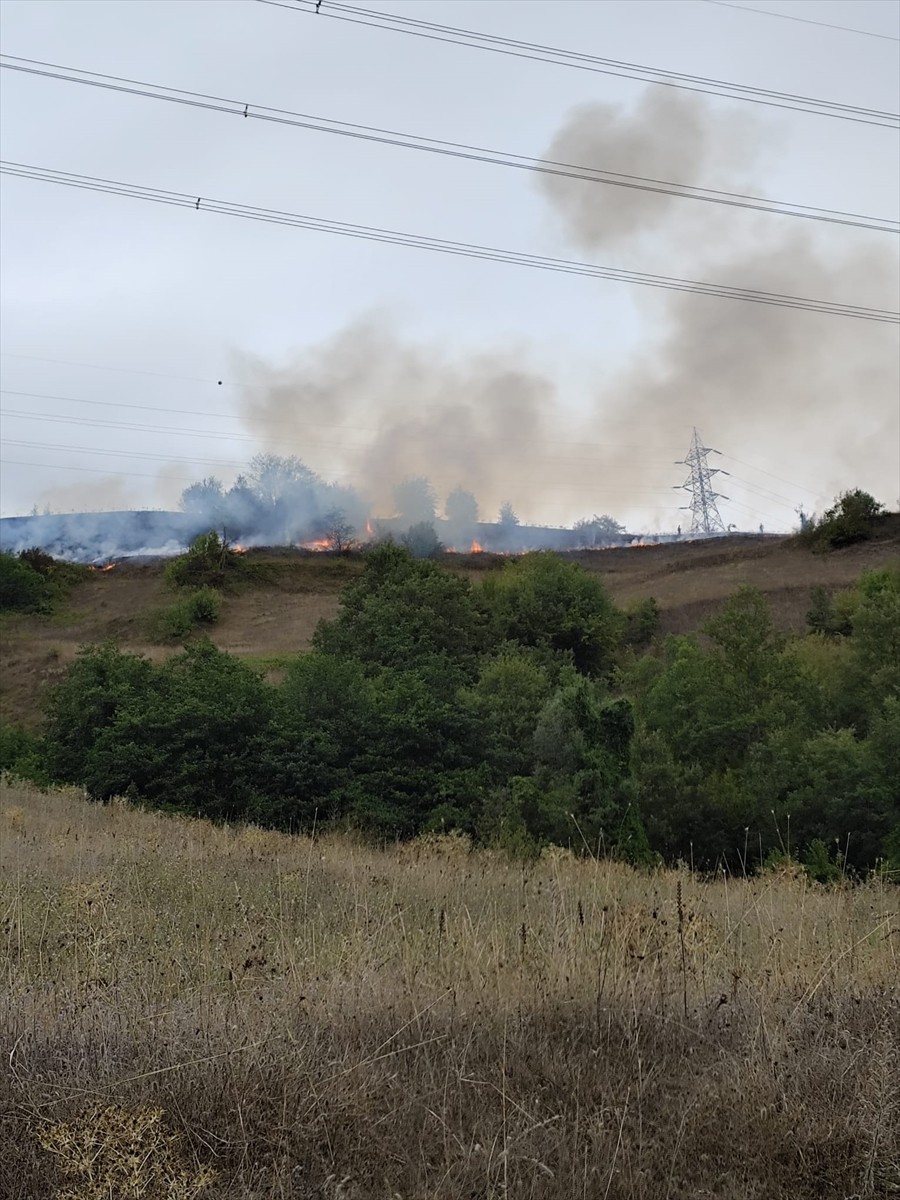 Samsun'un Bafra ilçesinde çıkan örtü yangını söndürüldü.