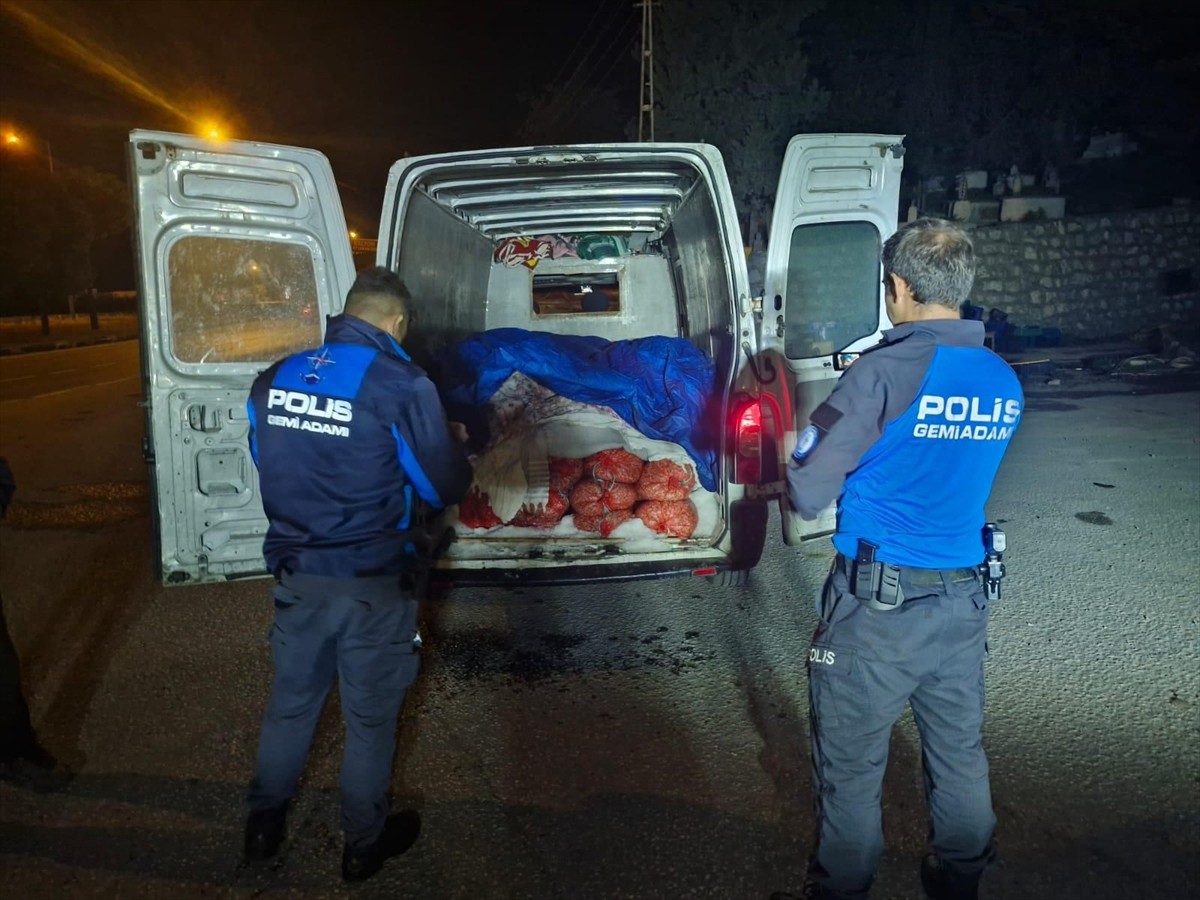 Samsun Emniyet Müdürlüğü ekiplerince düzenlenen operasyonda, minibüslerde kaçak avlandığı...