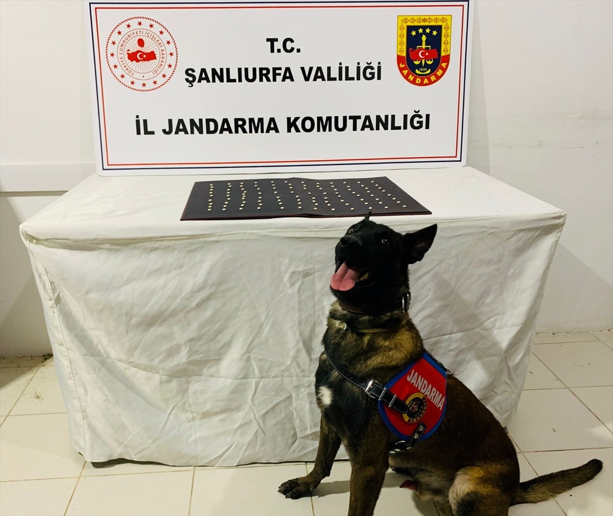 Şanlıurfa'da düzenlenen uyuşturucu ve silah kaçakçılığı operasyonunda 42 şüpheli gözaltına alındı....