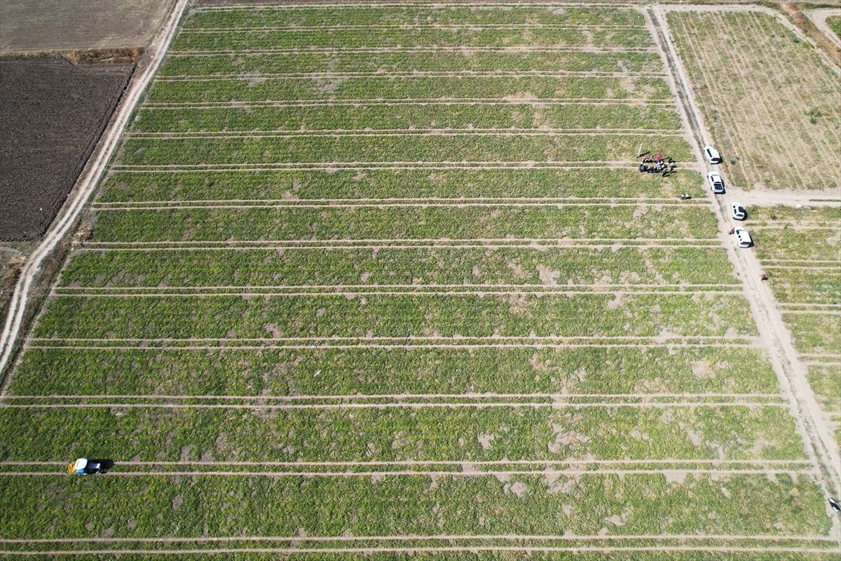 Serin havası, çınar ağaçlarıyla kaplı yolları, yöresel yemekleri ve kültürel yaşantısıyla öne...