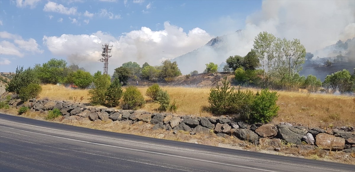 Sivas'ın Zara ilçesinde ağaçlık alanda çıkan yangını söndürme çalışmaları devam...