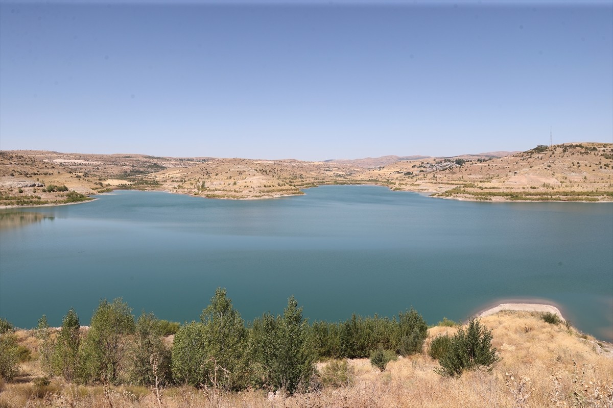 Sivas'ta sulama amaçlı kullanılan barajların çoğundaki doluluk oranları, alınan önlemler ve...