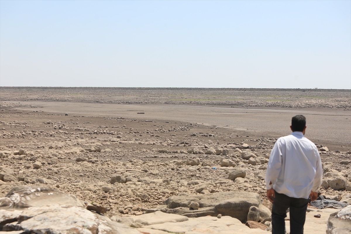 Suriye'nin önemli gıda ambarlarından biri olarak bilinen ülkenin güneyinde kuraklık, iklim...