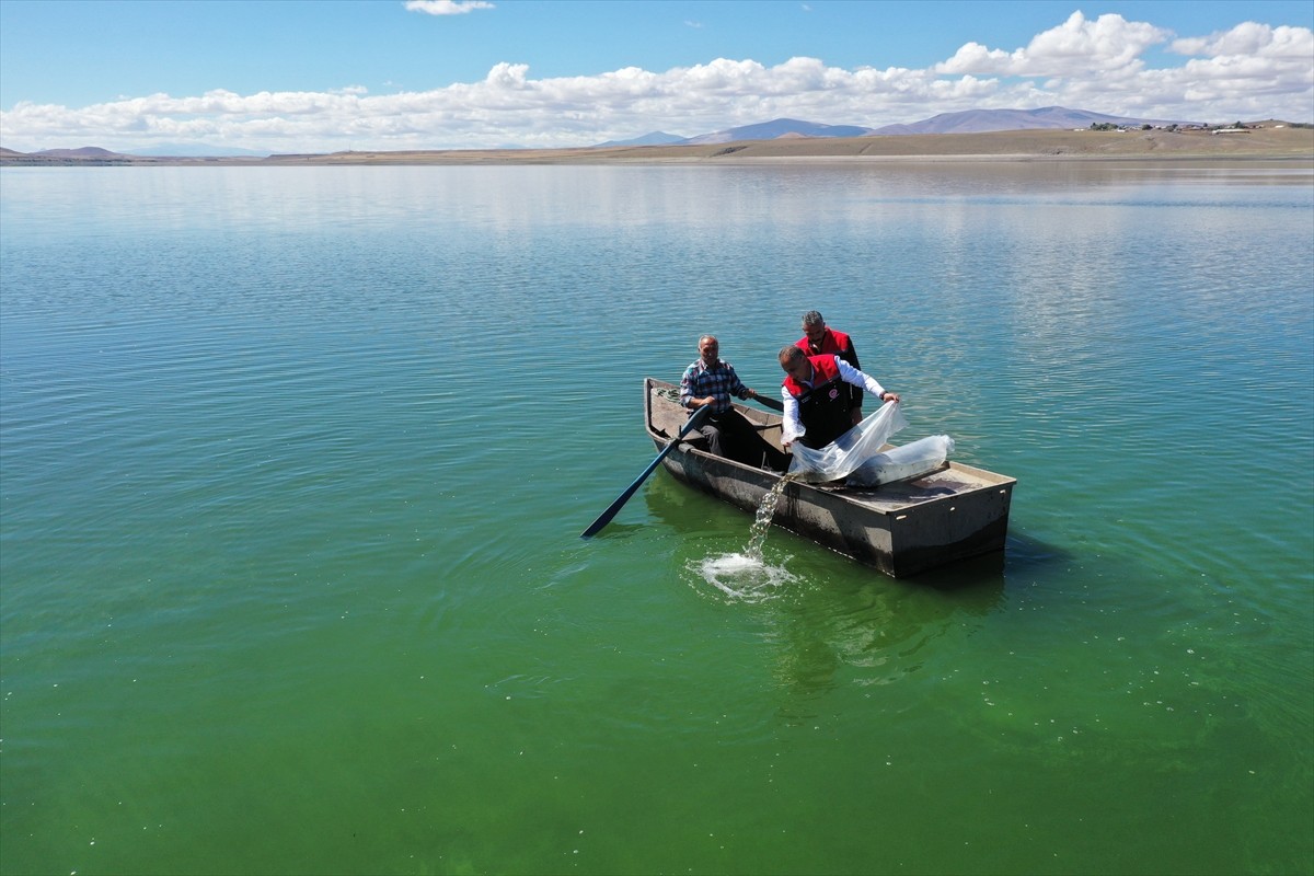 Tarım ve Orman Bakanlığınca yürütülen "Su Kaynaklarının Balıklandırılması Projesi" kapsamında...